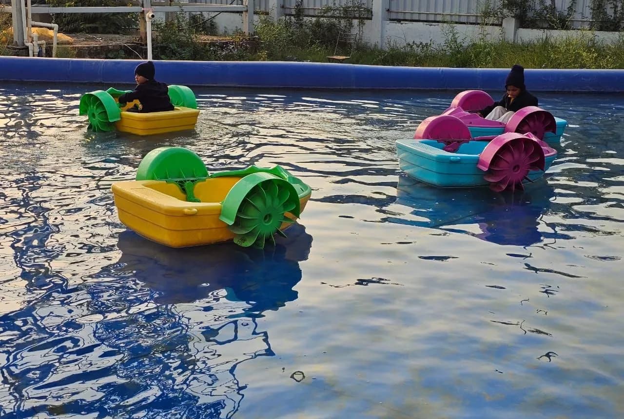 Paddle boats on a school excursion